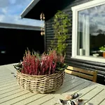 Log House Near Flovt With Soul And Charm *